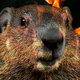 Illustration for article titled RedStripe Loved Trax: Groundhog, iDJ Hero/i-style